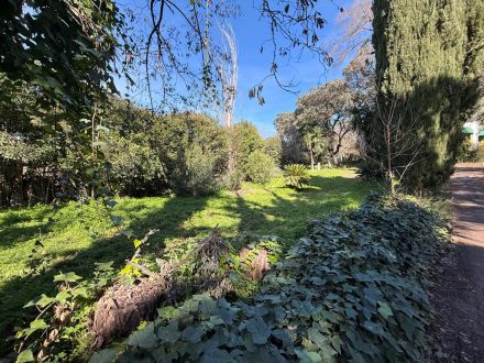 PARCELA IDEAL DE 956 M2 EN EL BRILLANTE