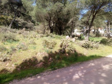 Estupenda Parcela