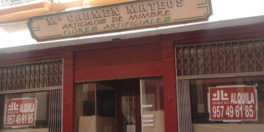 LOCAL VINTAGE, GRAN ALTURA DE TECHOS, COLUMNAS DE FUNDICIÓN 