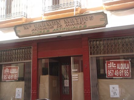 LOCAL VINTAGE, GRAN ALTURA DE TECHOS, COLUMNAS DE FUNDICIÓN 