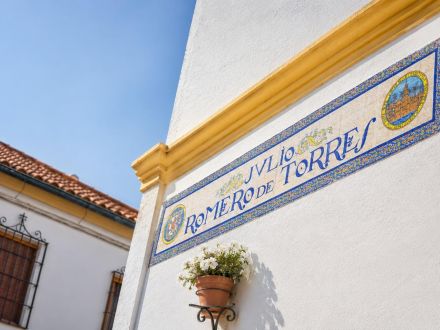 CASA ANDALUZA CON ENCANTO EN EL CASCO HISTÓRICO DE CÓRDOBA