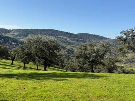 MAGNÍFICA FINCA A UN MINUTO DE VILLANUEVA DEL REY, CÓRDOBA