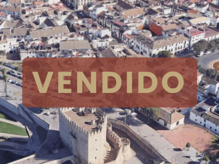 FANTÁSTICO ADOSADO EN MIRAFLORES JUNTO A LA CALAHORRA