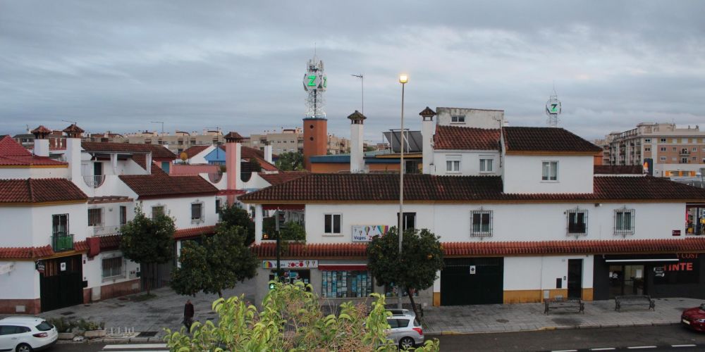 ADOSADO EN CÓRDOBA ZOCO