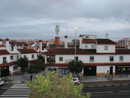 ADOSADO EN CÓRDOBA ZOCO