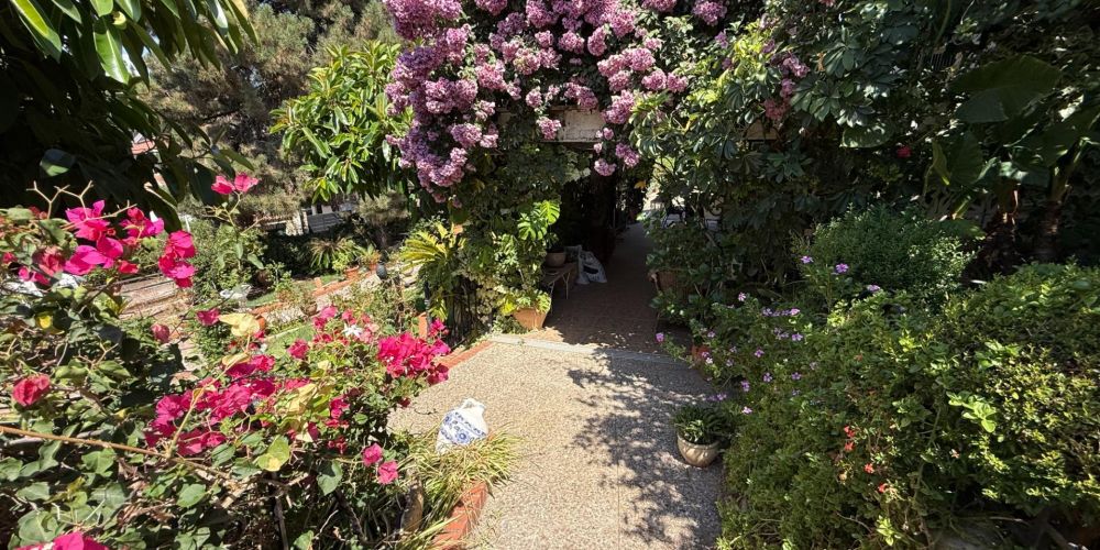 CHALET INDEPENDIENTE EN CALASANCIO