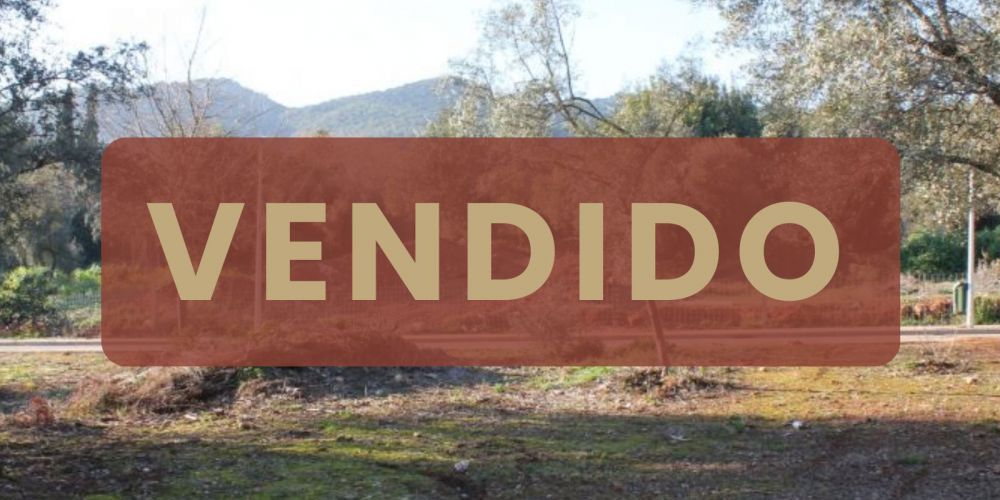 Parcela jumto al colegio de la Salle