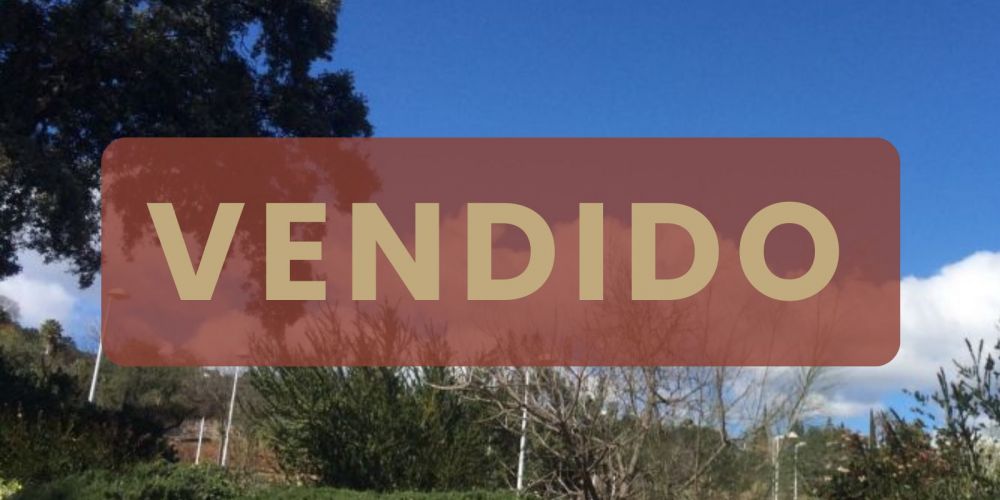 Parcela en zona residencial del brillante