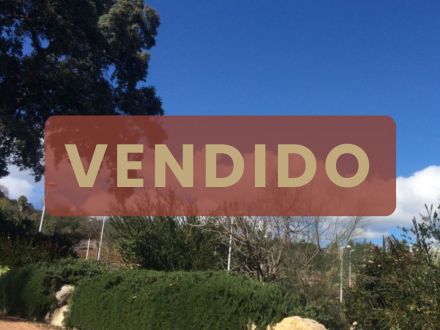 Parcela en zona residencial del brillante