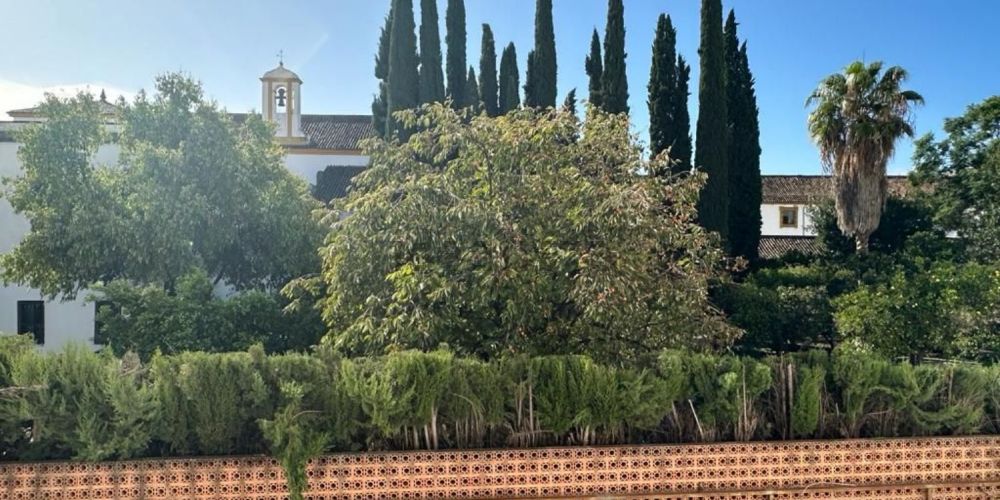 ESTUPENDO PISO EN VENTA ZONA COLÓN