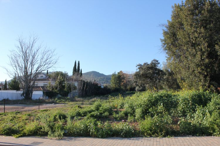Mágnifica Parcela junto al colegio de la Salle