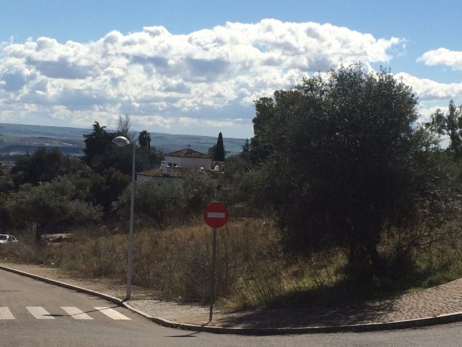 Parcela en zona residencial del brillante