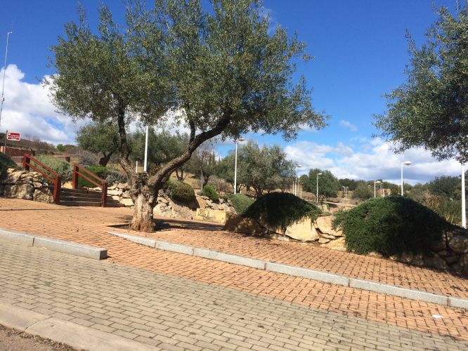 Parcela en zona residencial del brillante