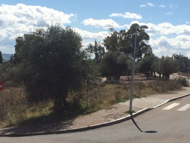 Parcela en zona residencial del brillante
