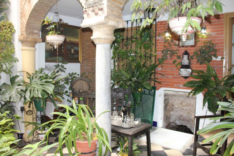 maravillosa casa en zona juderia