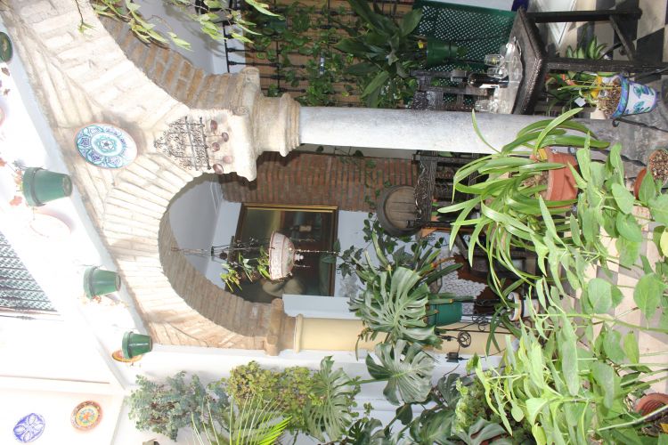 maravillosa casa en zona juderia