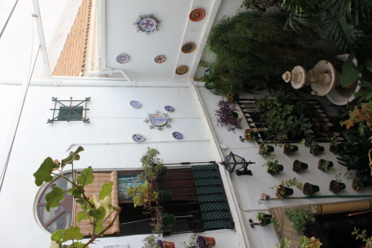 maravillosa casa en zona juderia