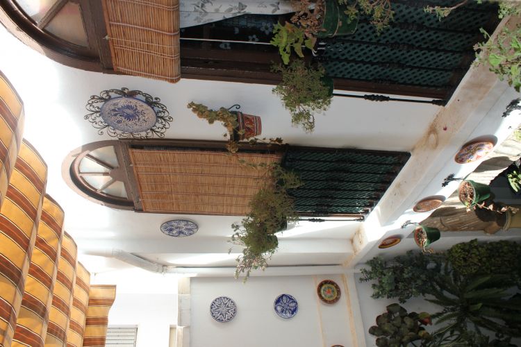 maravillosa casa en zona juderia