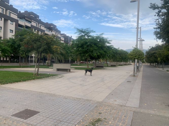 Magnífico Piso en el Tablero