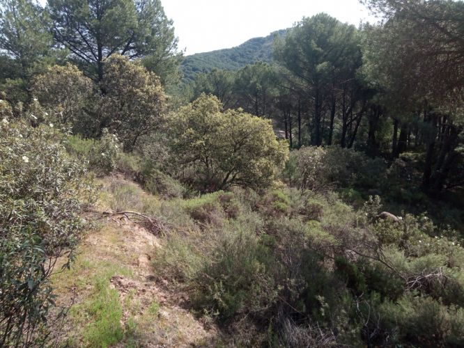 Estupenda Parcela
