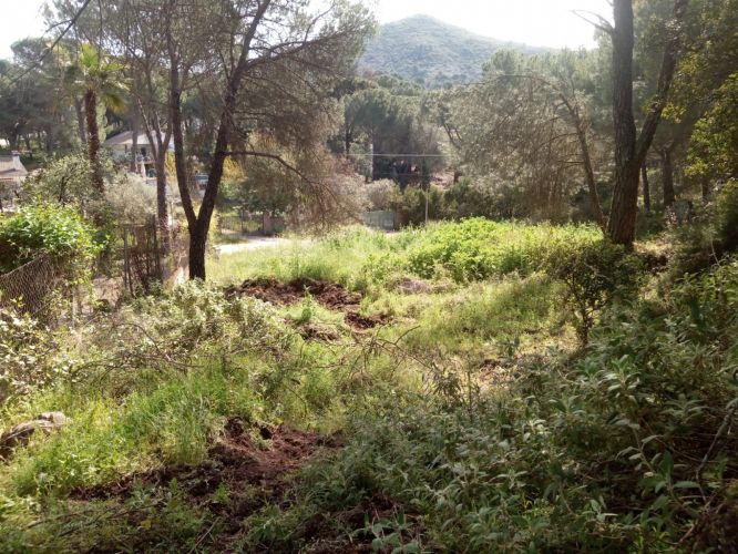 Estupenda Parcela