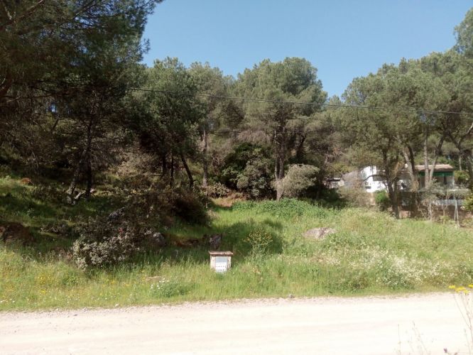 Estupenda Parcela