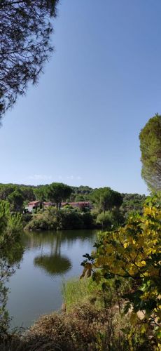Maravillosa casa en las Jaras