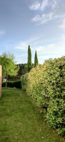 Maravillosa casa en las Jaras