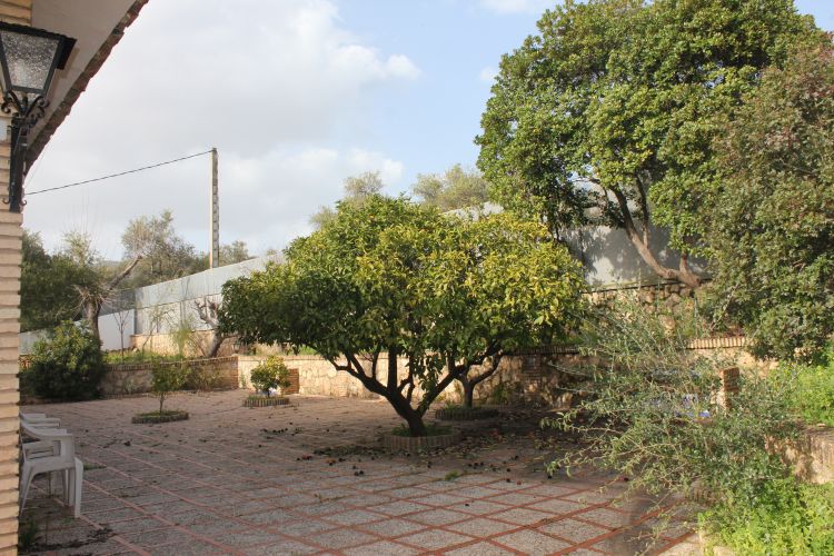 Magnífico Chalet para reformar