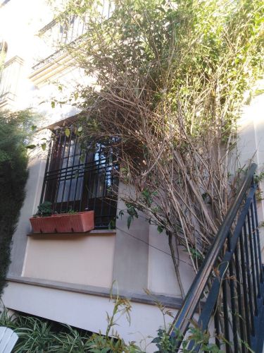 CHALET ADOSADO EN VENTA EN NARANJO- MIRABUENO
