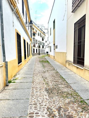 COQUETO APARTAMENTO TURÍSTICO EN CASCO ANTIGUO