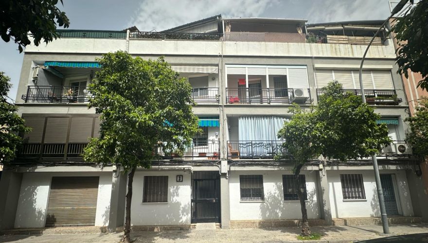 PISO EN ZONA BAJA DEL CAMPO DE LA VERDAD