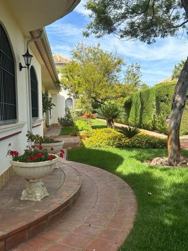 CHALET DE UNA SOLA PLANTA AL LADO DEL COLEGIO BRITÁNICO 