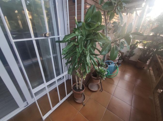 PISO EN CORDOBA ZONA SANTA ROSA 