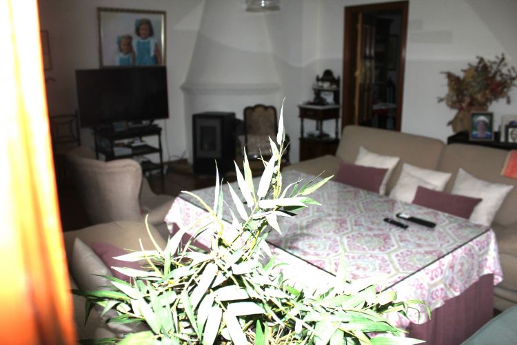 CHALET EN CORDOBA EN ZONA BRILLANTE 