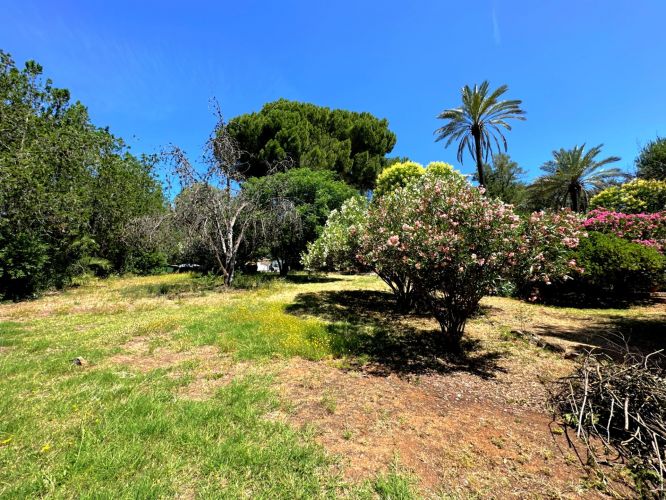 CHALET EXCLUSIVO EN LA ZONA MÁS EXCLUSIVA DE CÓRDOBA BRILLANTE-CALASANCIO