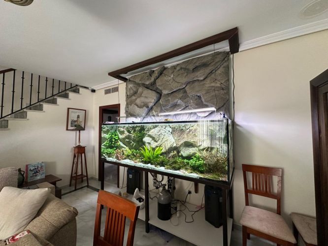 CASA CON PISCINA EN ENCINAREJO