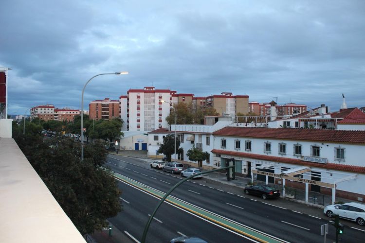 ADOSADO EN CÓRDOBA ZOCO