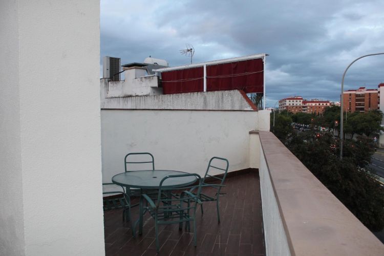 ADOSADO EN CÓRDOBA ZOCO