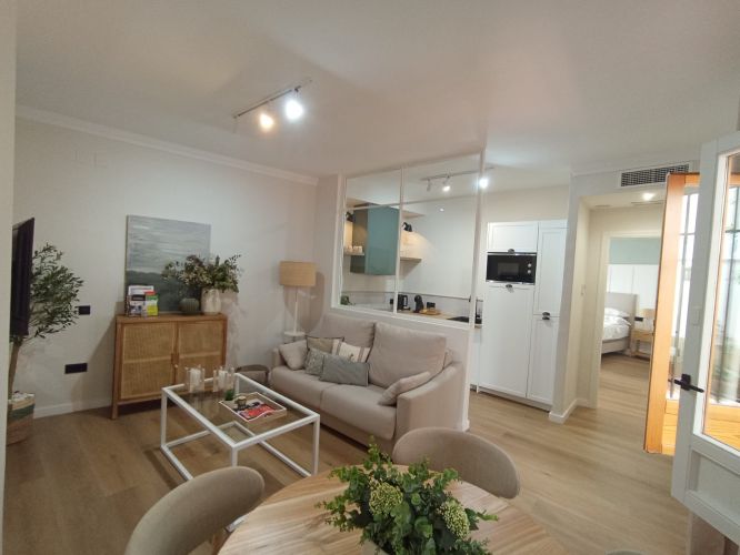 APARTAMENTO JUNTO A PLAZA DEL POTRO