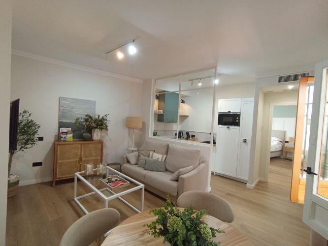 APARTAMENTO JUNTO A PLAZA DEL POTRO