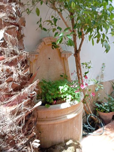 APARTAMENTO JUNTO A PLAZA DEL POTRO