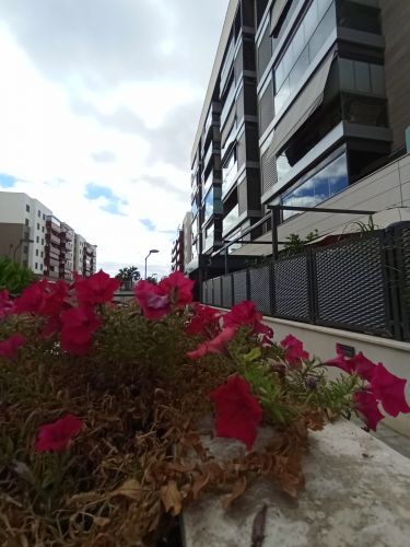 PISO EN PONIENTE NORTE - MIRALBAIDA- PARQUE AZAHARA