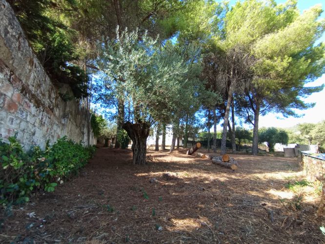 PARCELA  AVD. BRILLANTE.