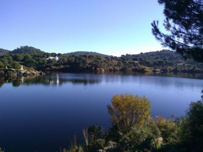 CASA ADOSADA EN LAS JARAS  