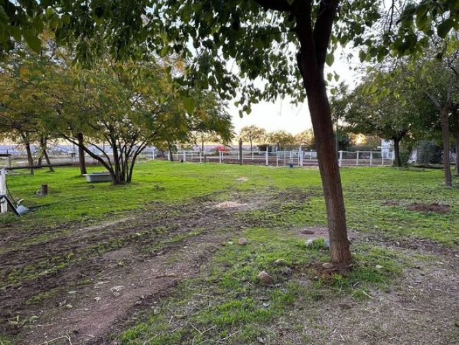 FINCA RÚSTICA EN LA LOMA A UN PASO DE CÓRDOBA!