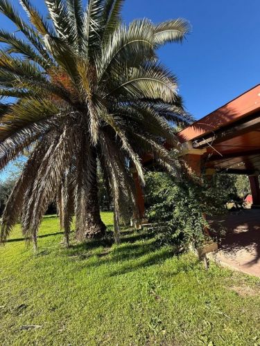 FINCA RÚSTICA EN LA LOMA A UN PASO DE CÓRDOBA!