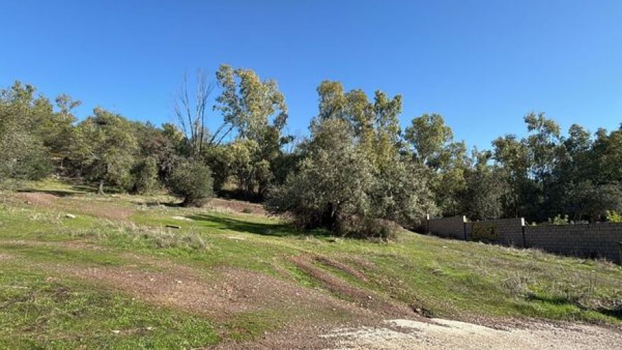 MAGNIFICA PARCELA A LA VENTA EN BRILLANTE!