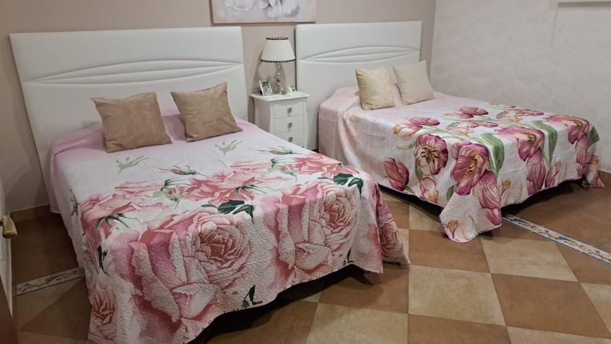 MAGNIFICO CHALET DE DOS VIVIENDAS EN LA COLINA