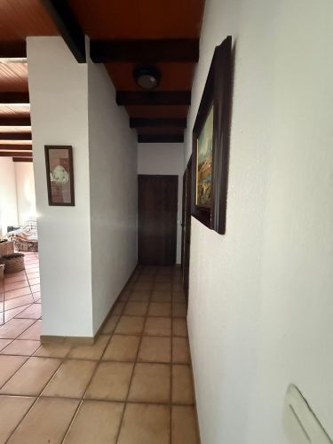 MAGNÍFICA FINCA A UN MINUTO DE VILLANUEVA DEL REY, CÓRDOBA